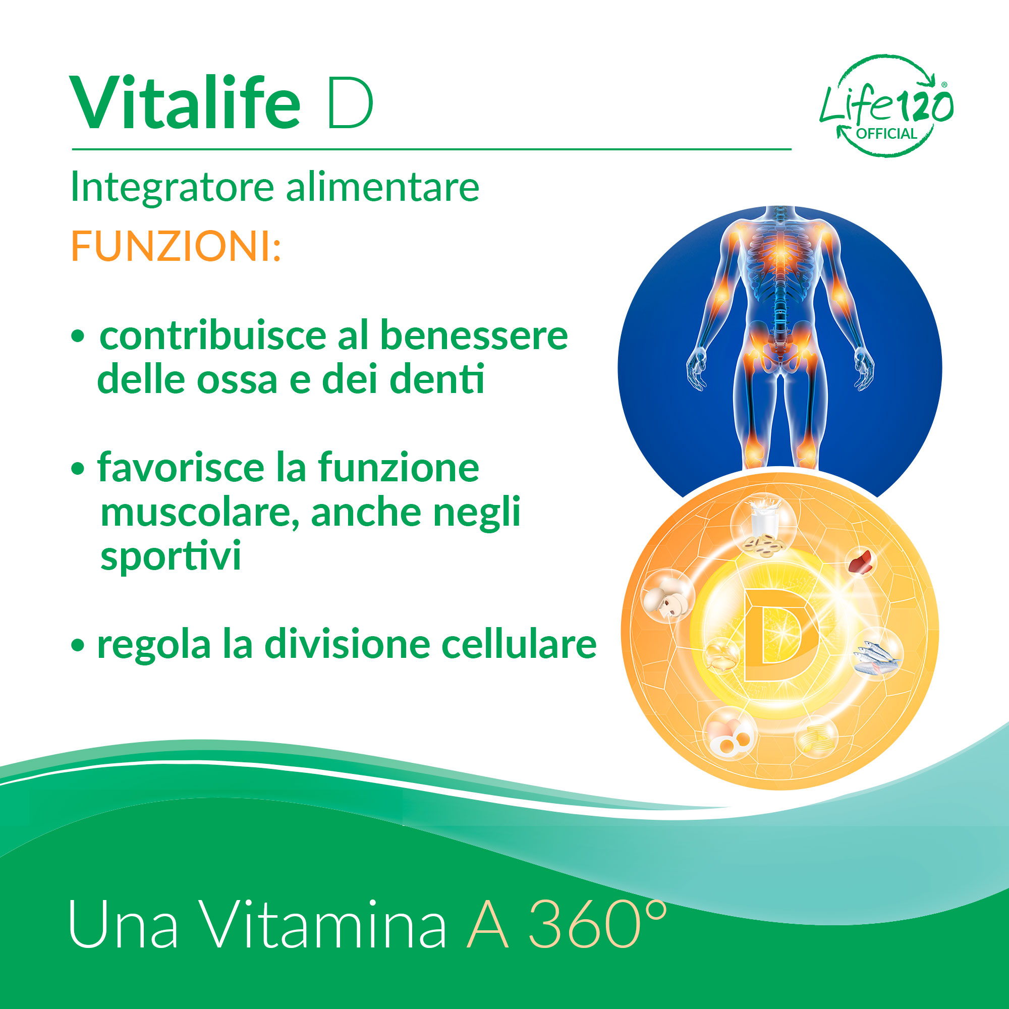 Vitalife D