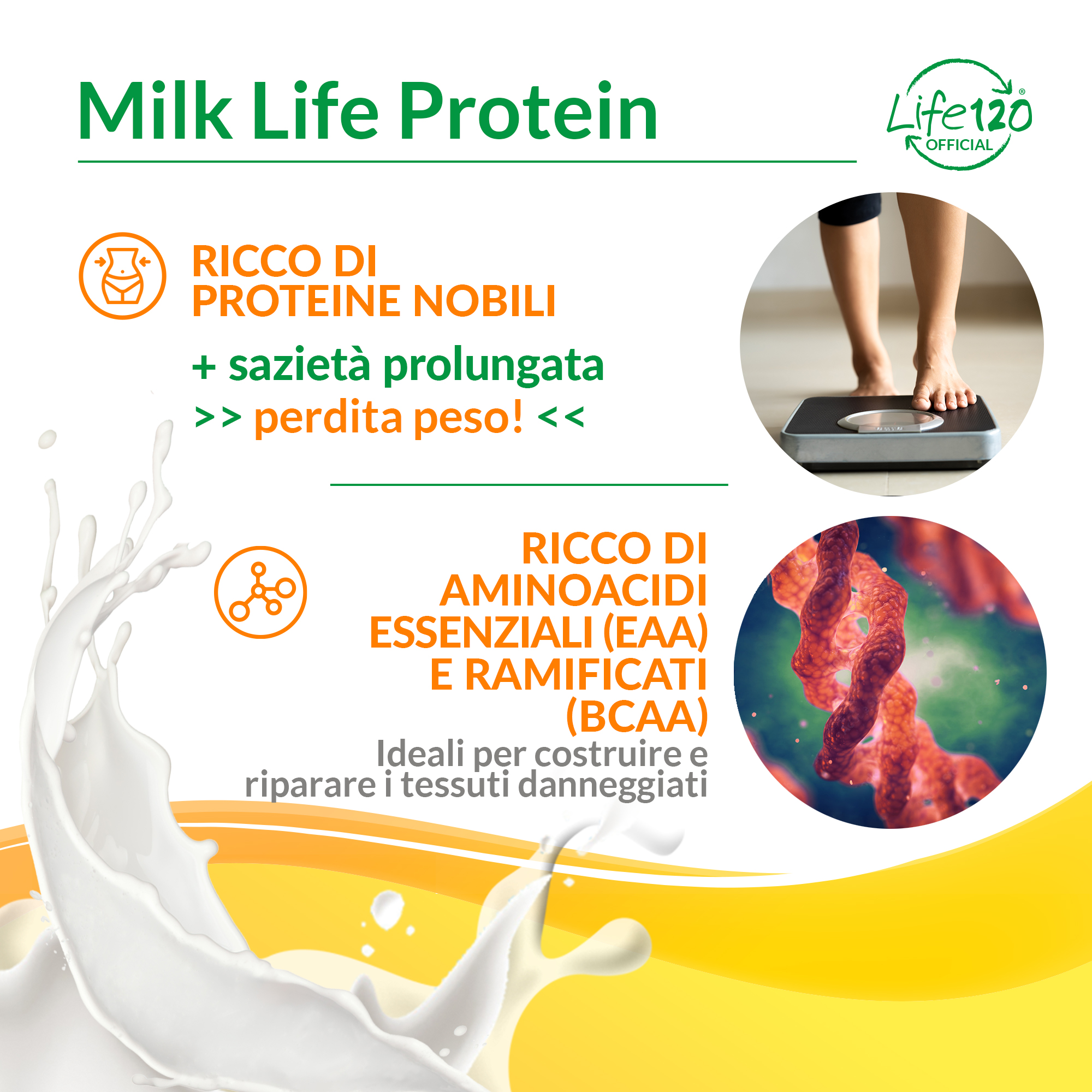 Milk Life Protein