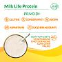 Milk Life Protein